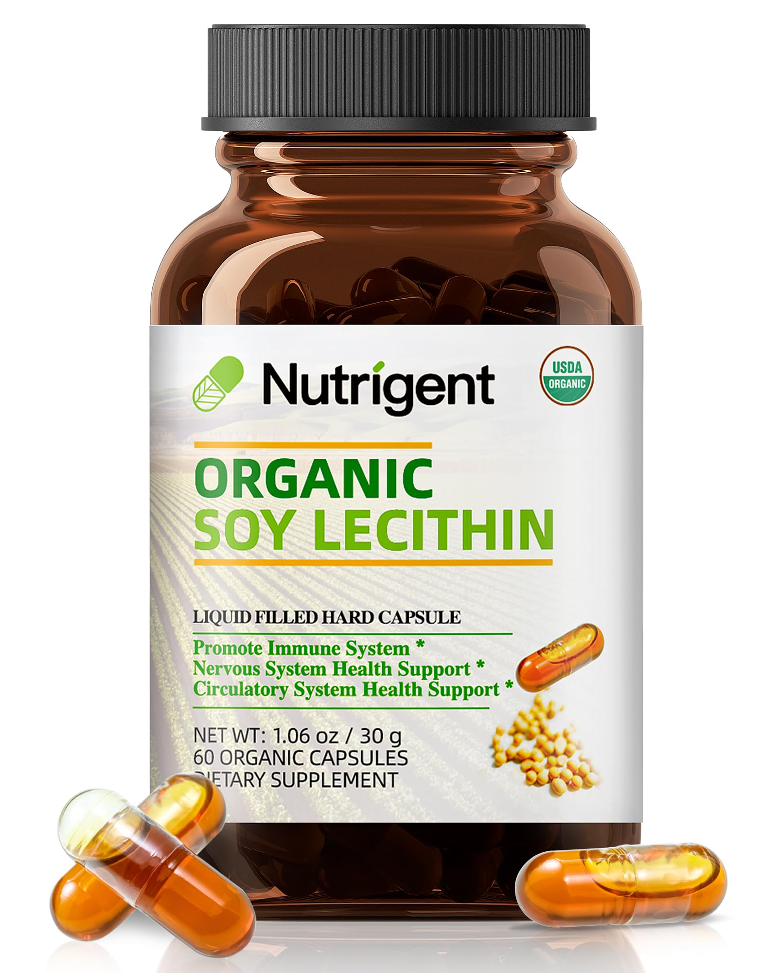 USDA Organic Soy Lecithin Supplement 800 mg, High Absorption Liquid Organic Capsules, Choline Lecithin Supplement for Brain & Liver Health Support, Non-GMO, Gluten Free, 60 Count