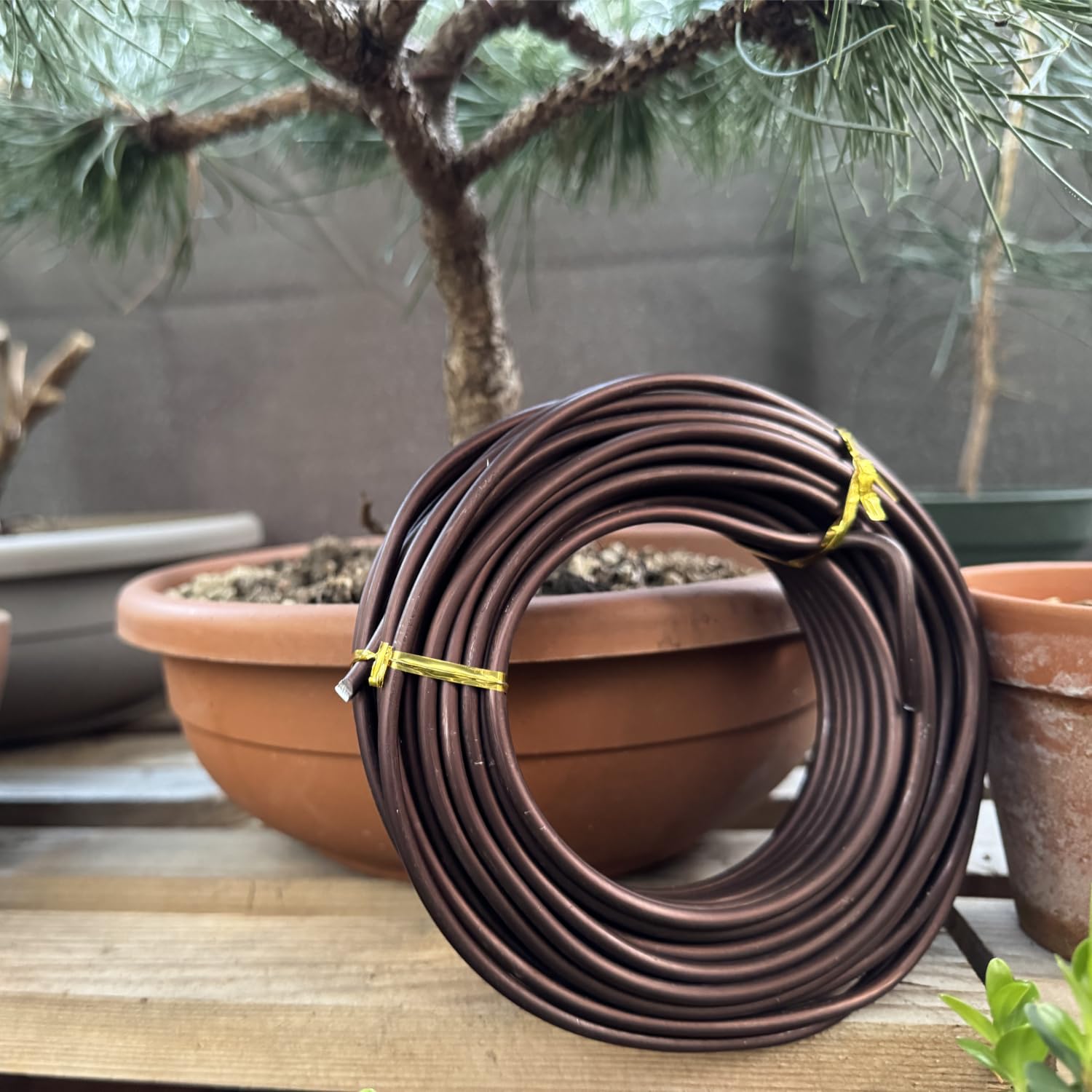 ULISSE® BonsaiPro Aluminium Optima - Filo per Bonsai Brunito - Modellabile e Resistente - Vari Diametri - 500g - per Modellare e Correggere la Forma dei Rami - Attrezzi Bonsai Professionali (5,5 mm)