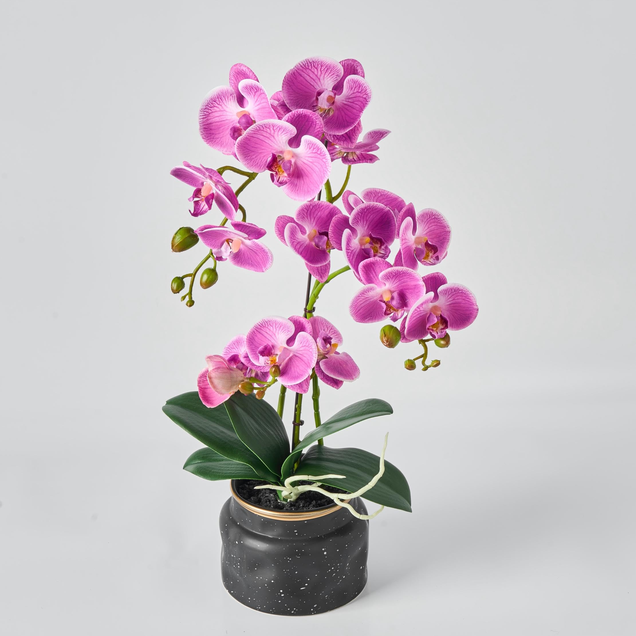 Avoeco Real Touch Orchid