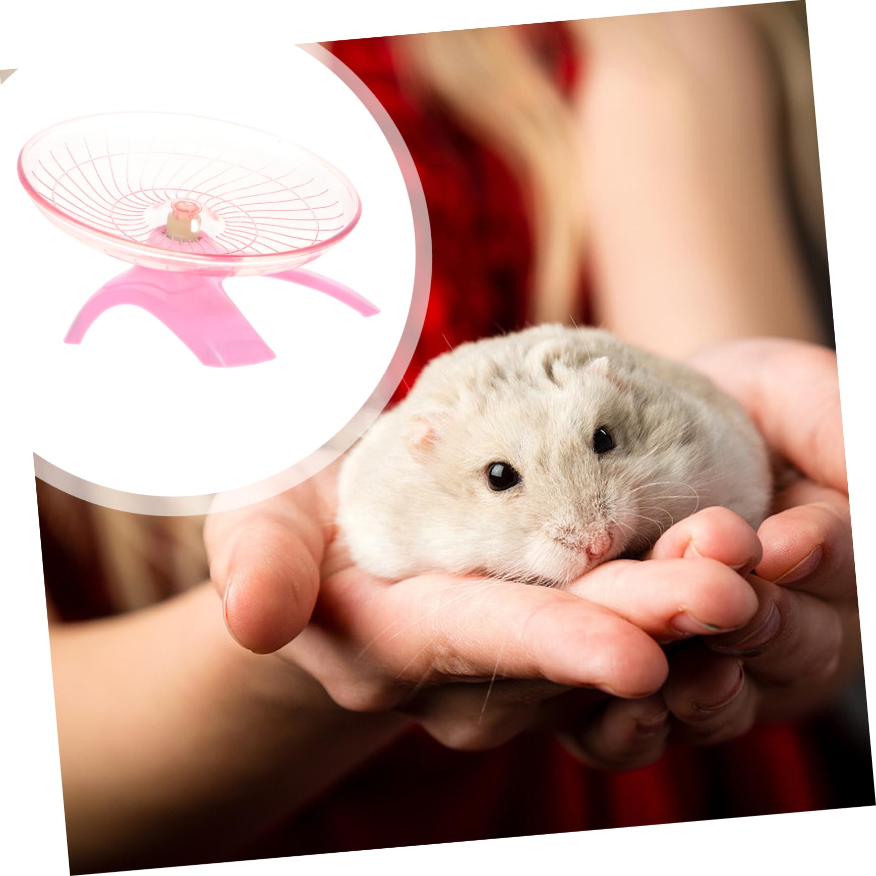 BESPORTBLE Exercise Wheel for Small Pets Hamster Running Disc Pet Wheel Non-Run Feature