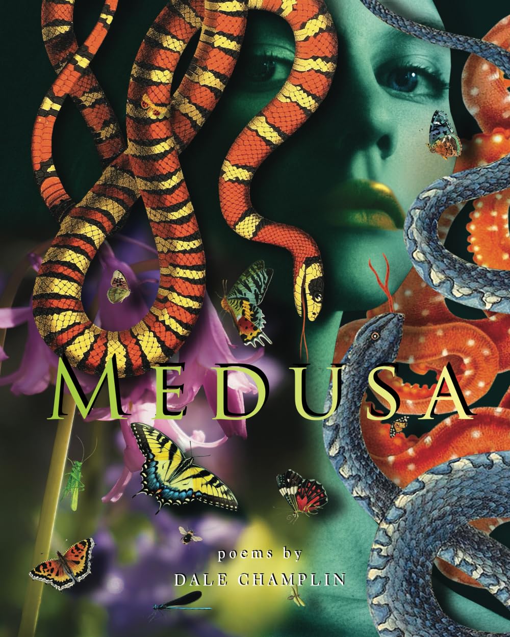 Medusa