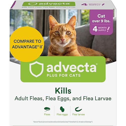 Advecta Plus Flea Prevention For Cats, Cat and Kitten Treatment & Control, Small and Large, Fast Acting Waterproof Topical Drops, 4 Month Supply