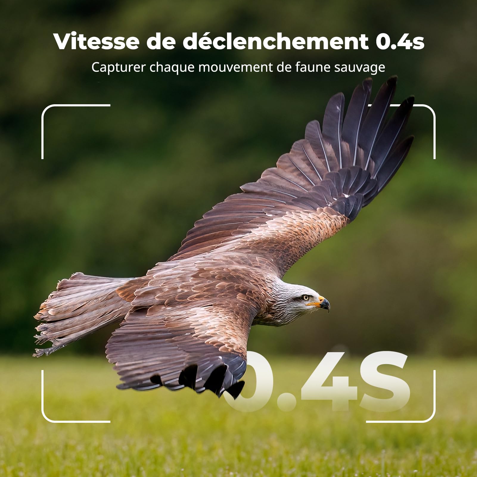 Camera de Chasse 4K 48MP: Caméra de Chasse Pas de WiFi avec 2'' LCD Écran,Carte SD 64GB,Étanche IP66, Enregistrement en Boucle pour l'observation de Chevreuil, Renard de la Faune