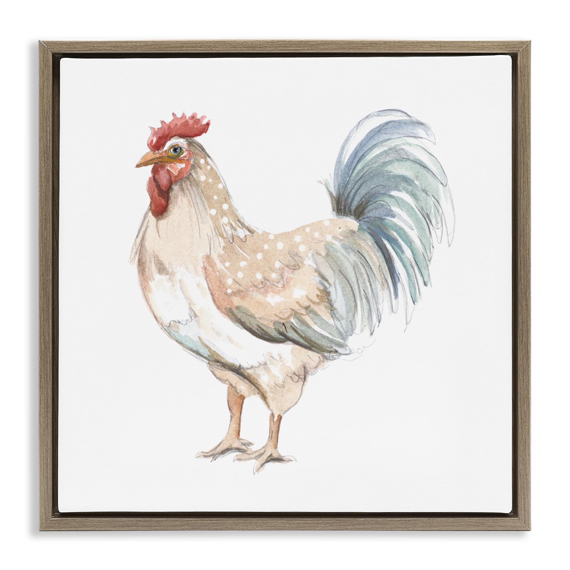 Stupell Industries 'Watercolor Rooster Sketch', Floating Frame Canvas Art, Brown, 18 x 18