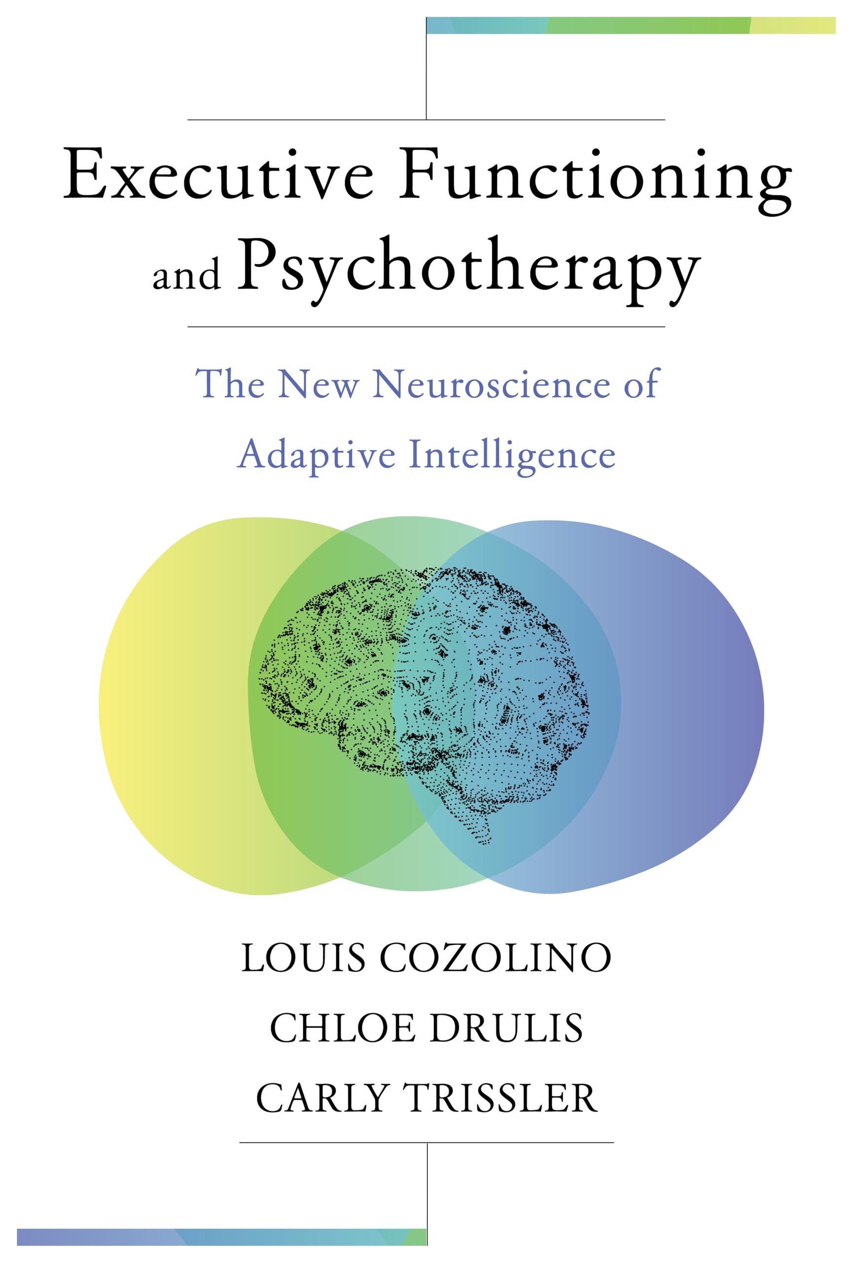 Executive Functioning and Psychotherapy: The New Neuroscience of Adaptive Intelligence: 0 (Norton Series on Interpersonal Neurobiology)