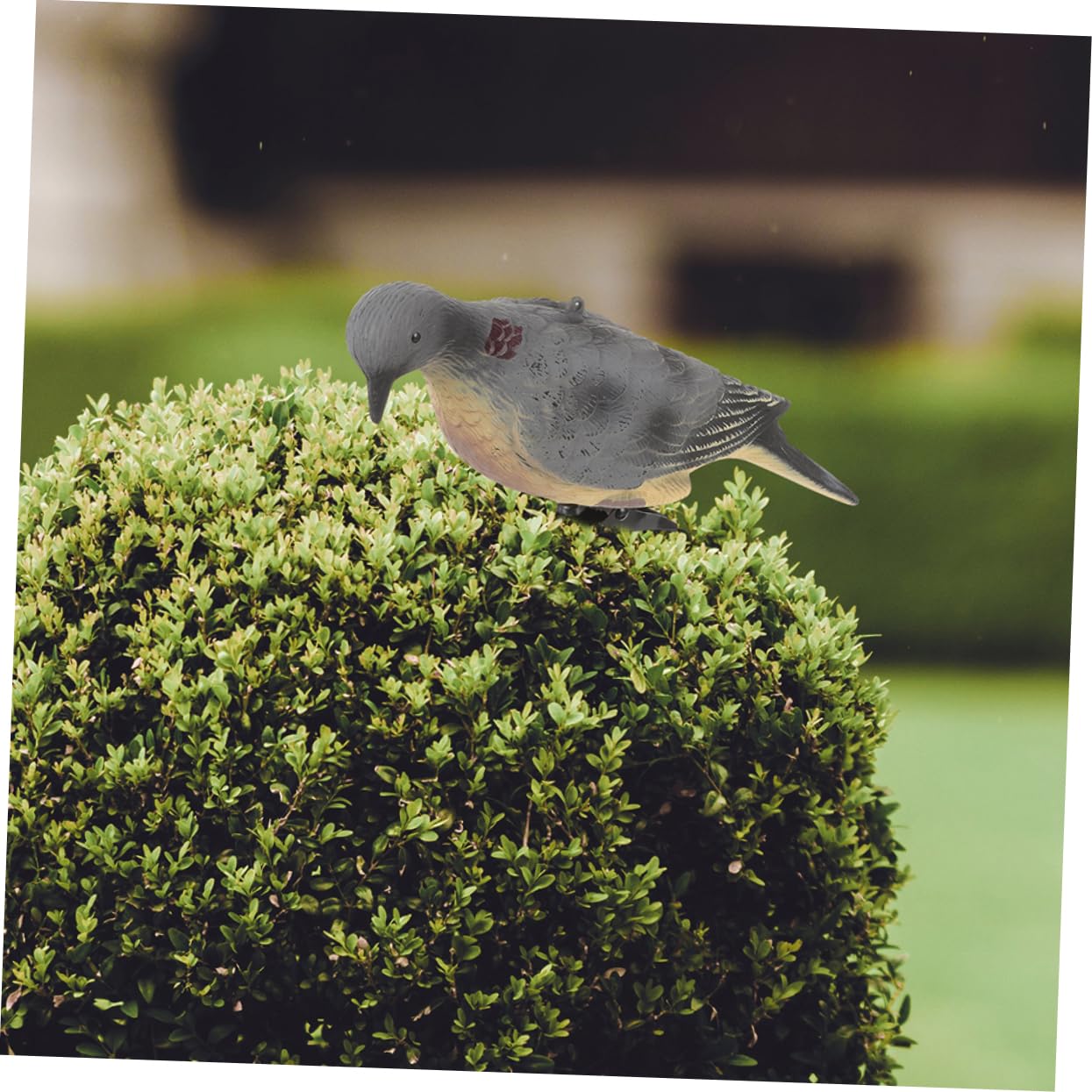 2piezas Palomas Decorativas De Plástico Estatua De Pájaro Falso para Caza y Decoración De Aves