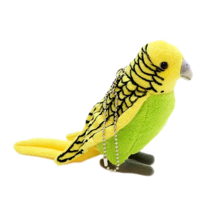 Amazon.co.jp: セキセイ インコ S : Pet Supplies