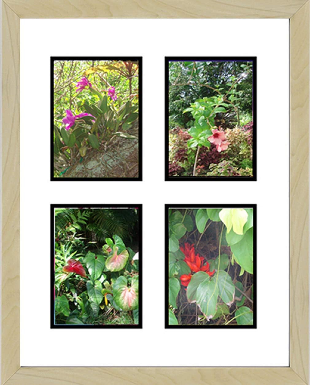 Frames by Mail Light Maple 4 Opening Picture Frame, 5 x 7