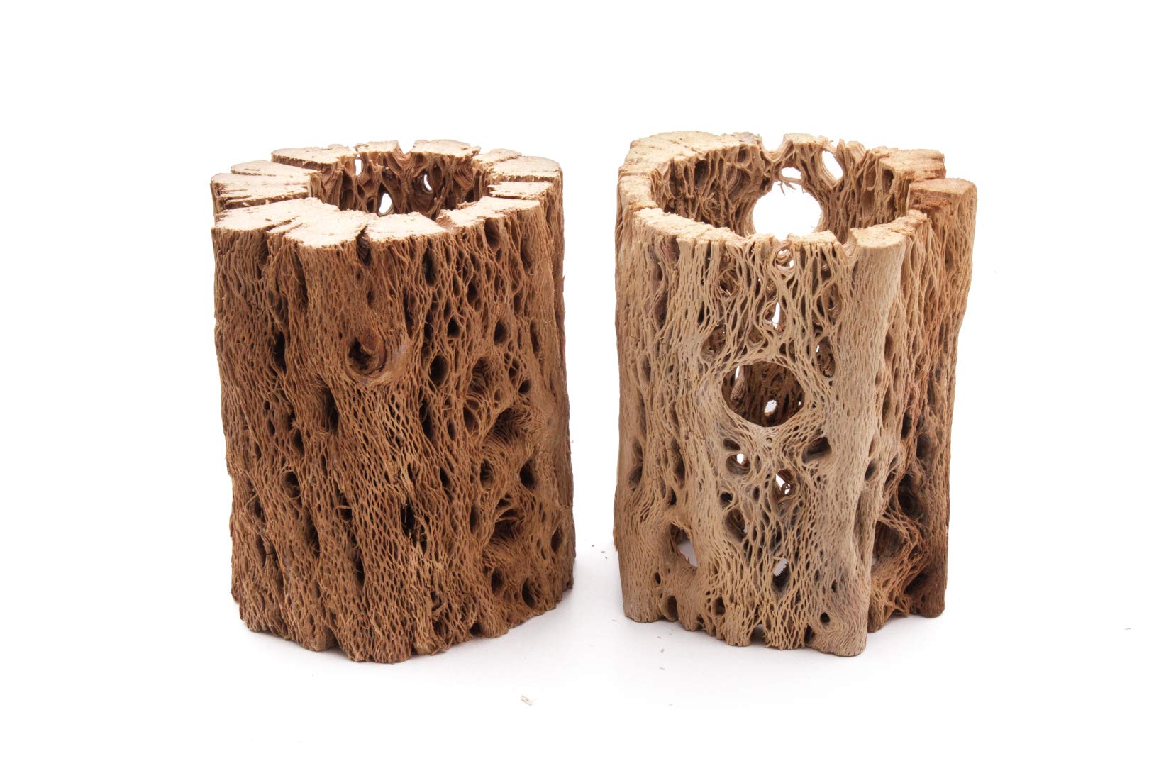 3 to 48 Inch All Natural Teddy Bear Cholla Wood Extra Hollow Large Untreated Organic Aquarium Driftwood Decoration Chew Toy Shrimp Crab Multi-Quantity (2 Pieces, 3 inch)