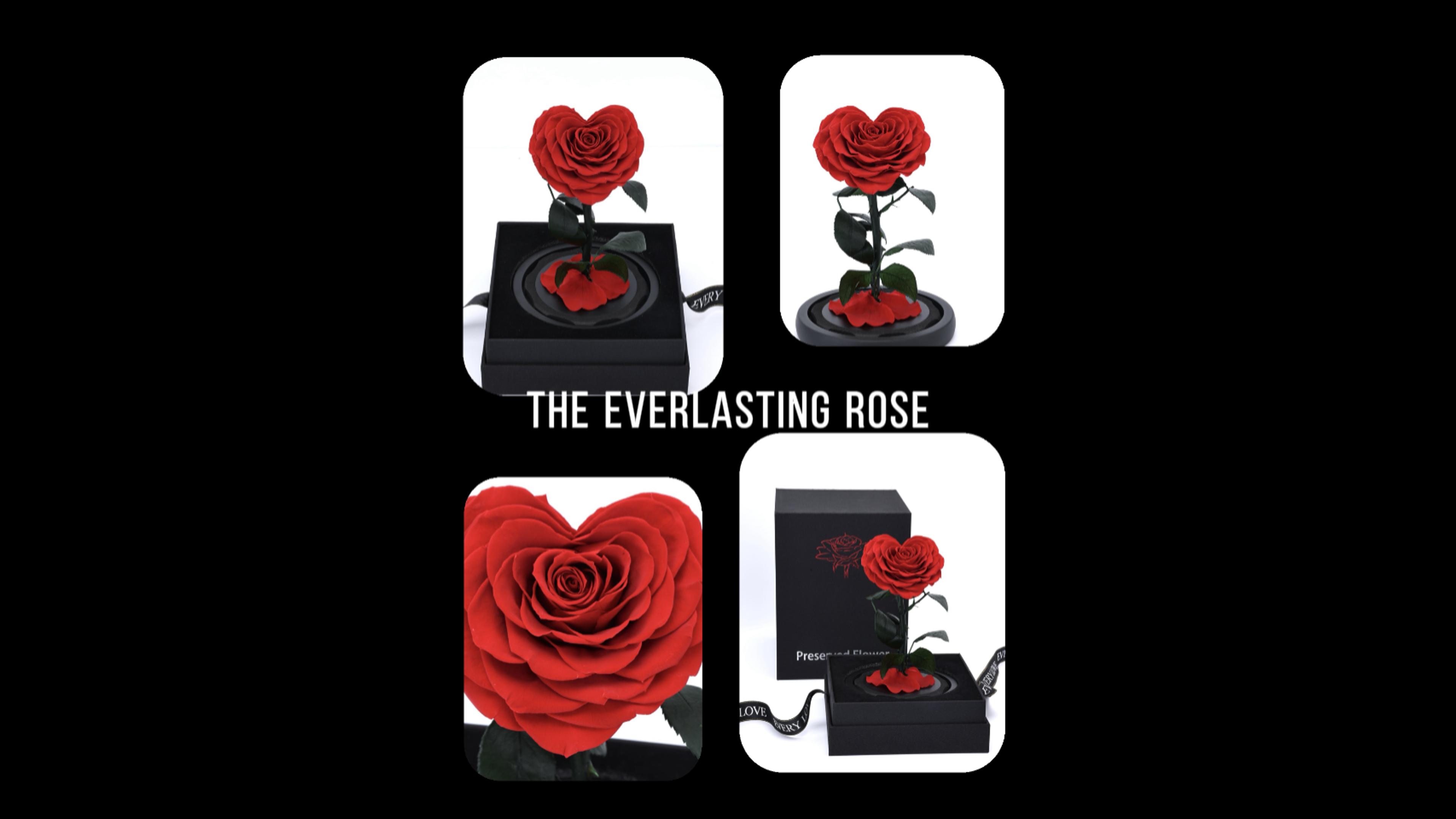 Rosa roja preservada en forma de corazón con cúpula de cristal miniatura 7
