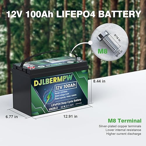 Miniatura 7 de DJLBERMPW Batería de litio LiFePO4 de 12 V 100 Ah, batería de ciclo profundo con BMS mejorado de 100 A, energía máxima de 1280 W, hasta 15000 ciclos