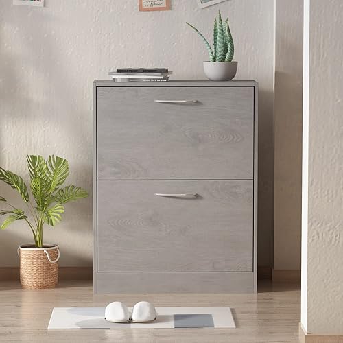 AIEGLE Zapatero con 2 cajones abatibles, moderno armario de almacenamiento de zapatos para entrada, zapatero independiente para espacios pequeños,