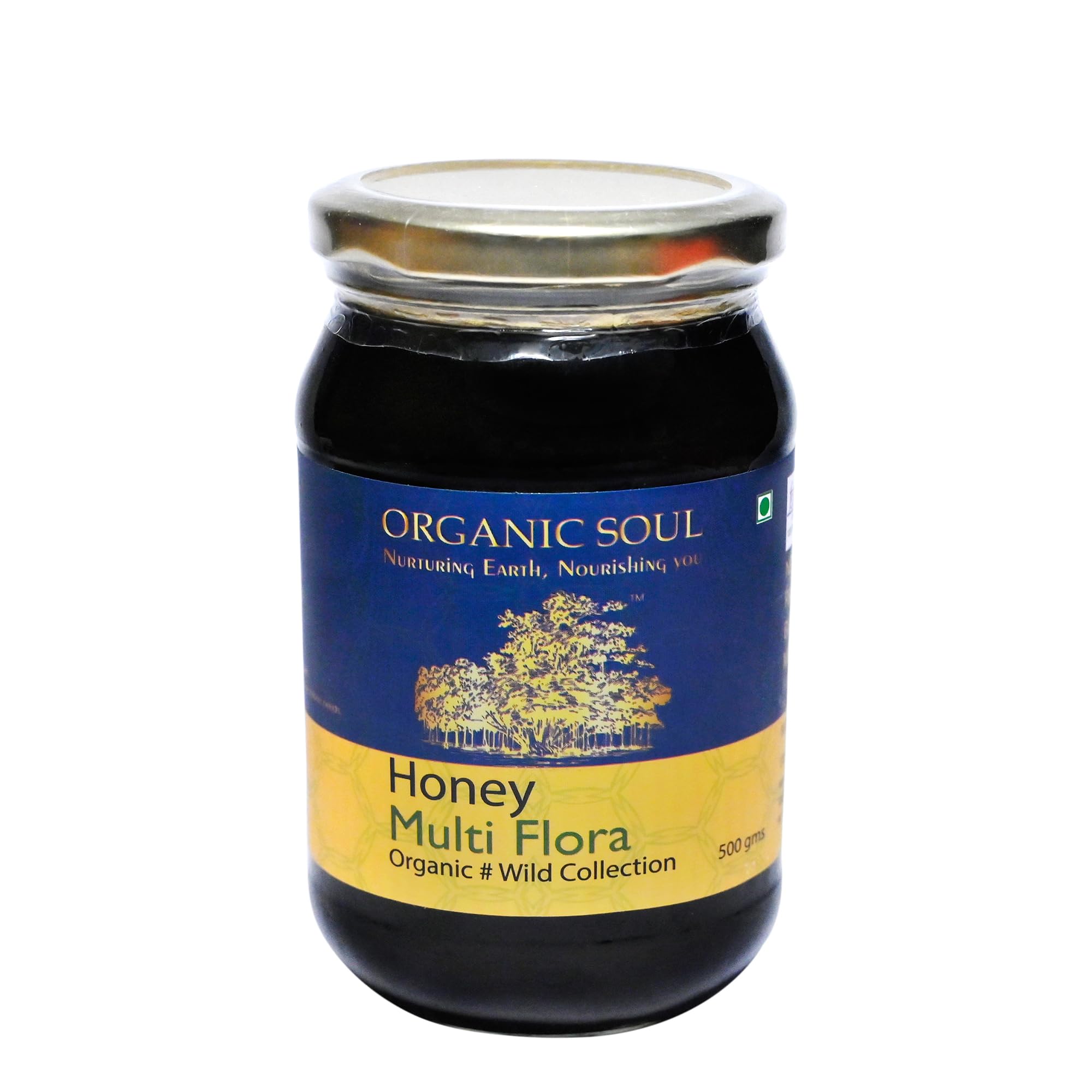 Organic Soul, Multi Floral Honey 500_Gm, Multi Floral Raw Honey, Honey Pure, Honey in fresh/NPOP Certified/Organic Certified (B09FB43SS6) Amazon Price History, Amazon Price Tracker