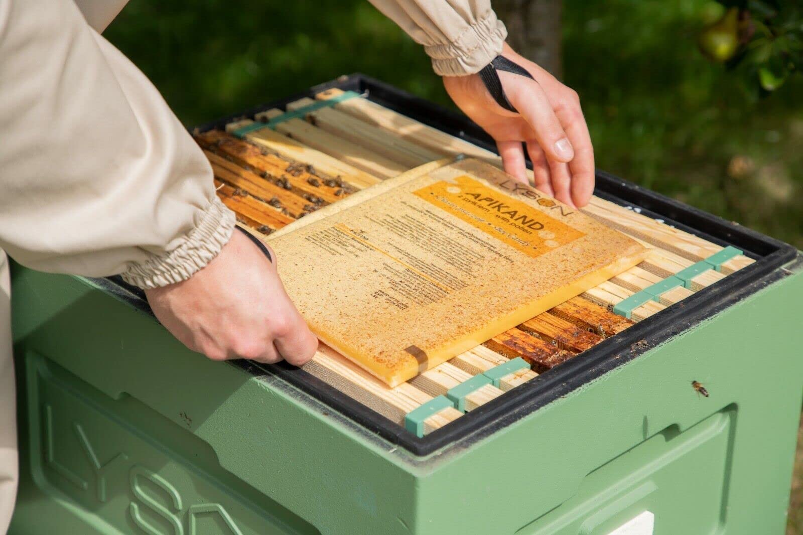LYSON Apikand Nourriture pour Abeilles avec Pollen Pâte à Sucre Gâteau au Sucre Pâte à Nourrir Fournitures d'apiculture Aminés Essentiels Ruche Pâteuse Apiculture Miel 5x1kg