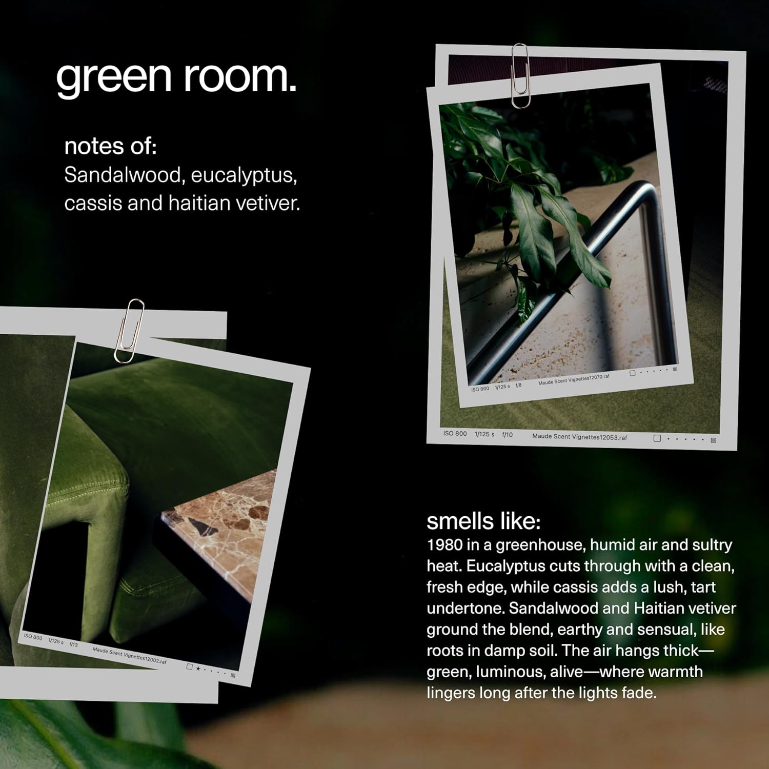 Maude Wash - pH Balanced Moisturizing Body Wash - Sandalwood & Eucalyptus Body Soap & Bubble Bath - With Smoothing Niacinamide & Aloe - Gentle Everyday Shower Gel & Relaxing Bath Soap - No.3 (12 oz)