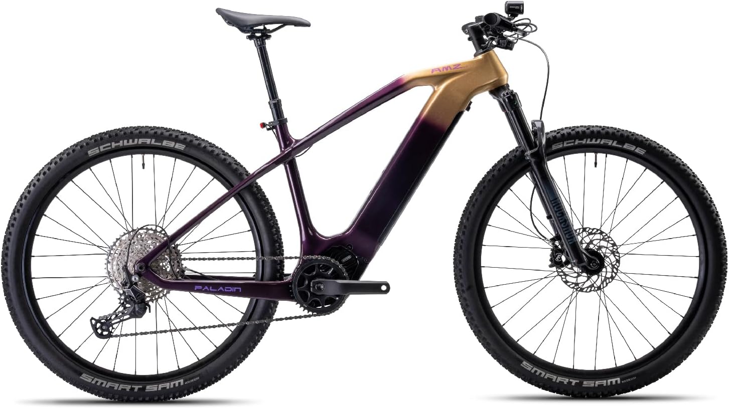 Paladin Electric Mountain Bike, 29-inch, Adult, Carbon Fiber Frame, Front Suspension, 750W(Peak) Motor, Class 1 E-Bike (Gloam Gold, S)
