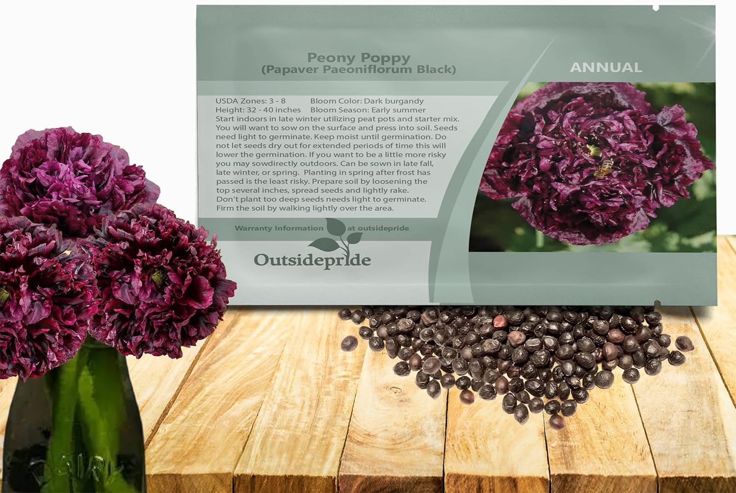 Outsidepride Peony Black Poppy Seeds for Planting - 10,000 Pcs Annual, Drought-Tolerant & Easy to Grow Wildflower Seeds with Vibrant Dark Burgandy Blooms for Landscaping, & Pollinator Garden