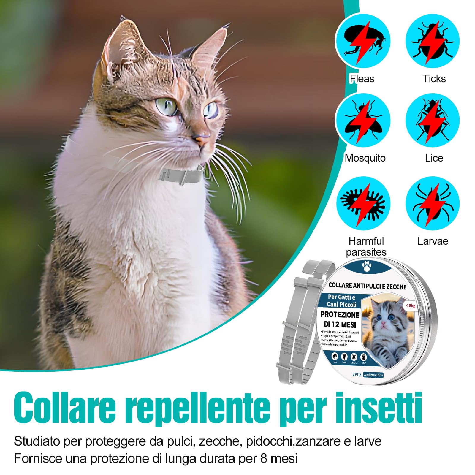 2 Pezzi Antiparassitario Per Cani,Collare Antipulci per Cane,Realizzato Con Oli Essenziali Naturali, Sicuro ed Efficace, Universale per Cani e Gatti,Protegge per 12 Mesi (piccolo cane e gatti)