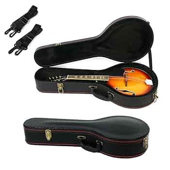 1987❣️ ヴィンテージ　マンドリンケース Amazon.com: Roaring Iron Mandolin Hard Case, A-Style