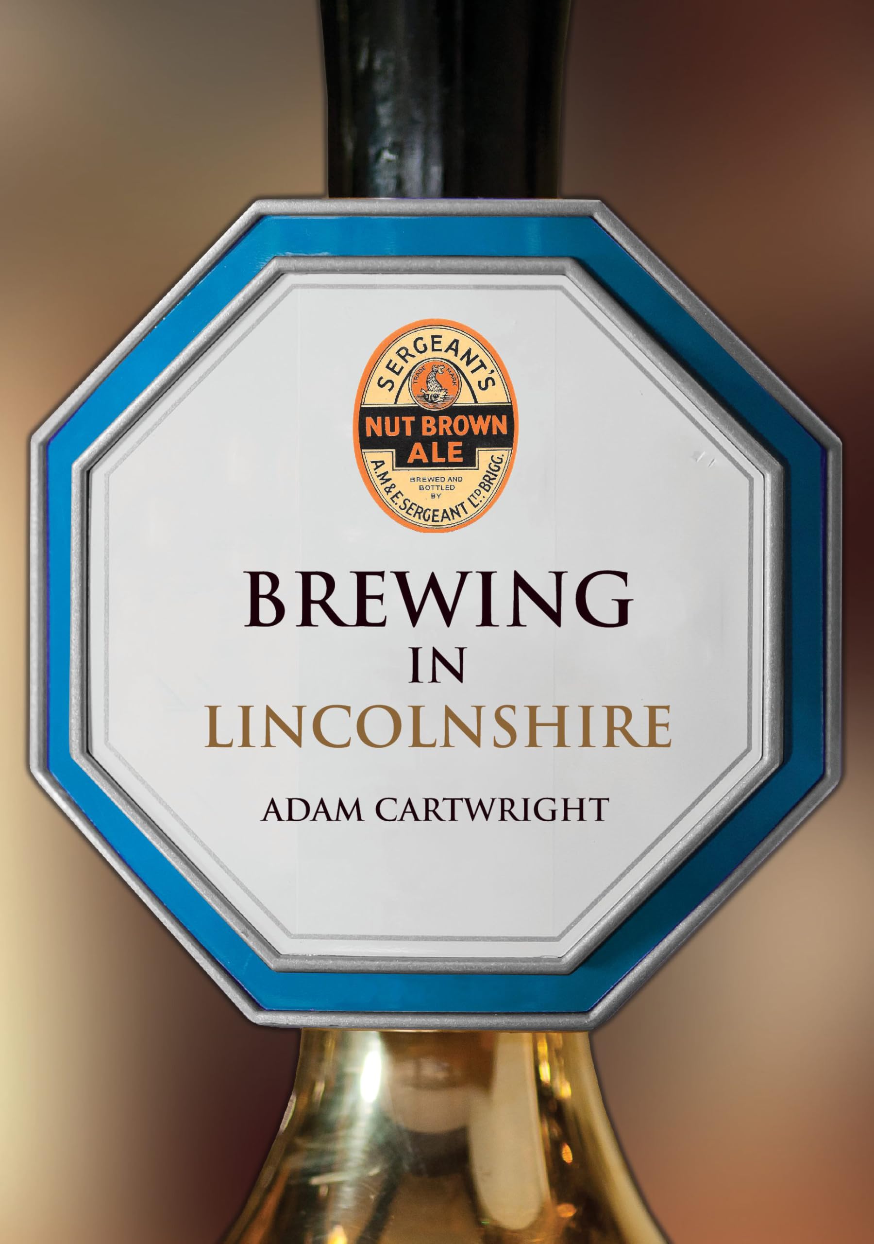 Brewing in Lincolnshire by Adam Cartwright PAPERBACK 9781398125131