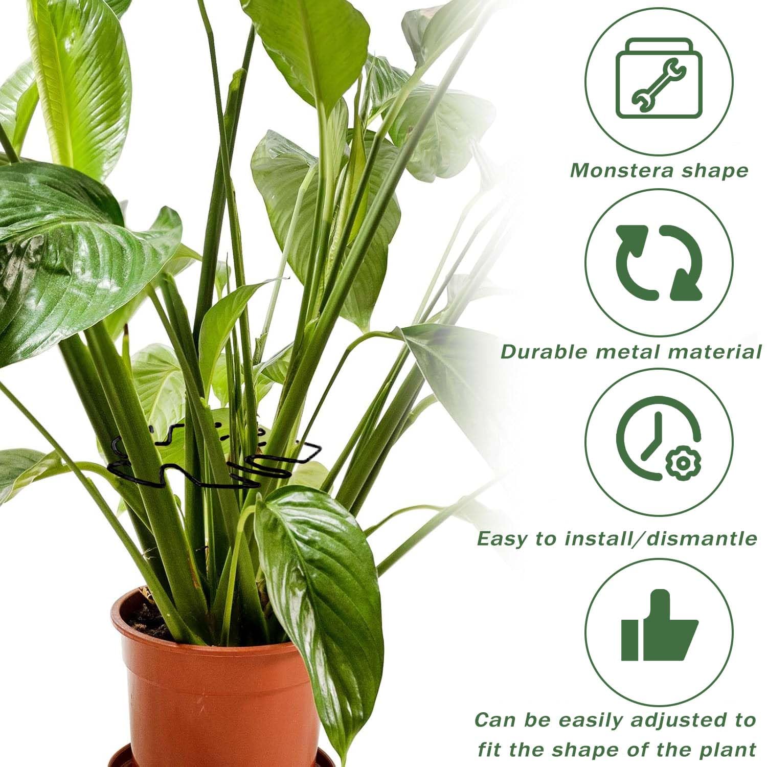 Pflanzensttze 4er Set Fr Monstera Rankhilfe, Mit Einzigartigem  Blattdesign Fr Zimmerpflanzen, Rankhilfe Monstera, Pflanzen Sttze,  Vielfltige Stngelsttze, Dekorative Untersttzung (Schwarz) : Amazon.de:  Garten