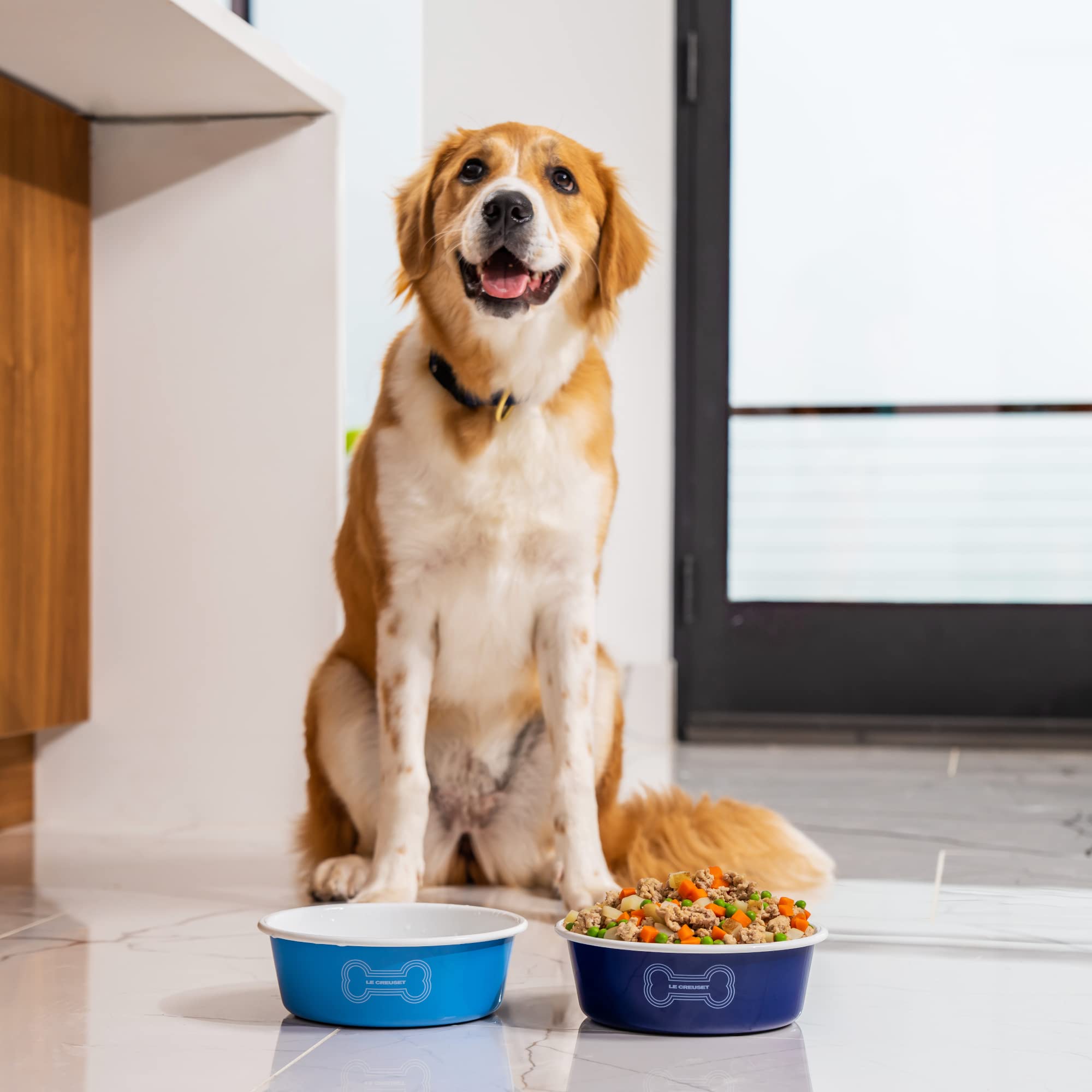 LE CREUSET　ルクルーゼ　ドックボウル　Lサイズ　大型犬　ホワイト　食器 Amazon | Le Creuset (ル・クルーゼ) エナメル加工 スチール製