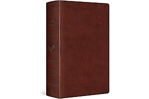 ESV Large Print Personal Size Bible: The Ultimate Scripture Companion for Comfort and Convenience
