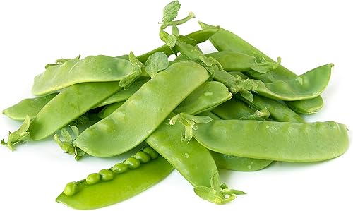 Semillas de guisantes gigantes de Oregon