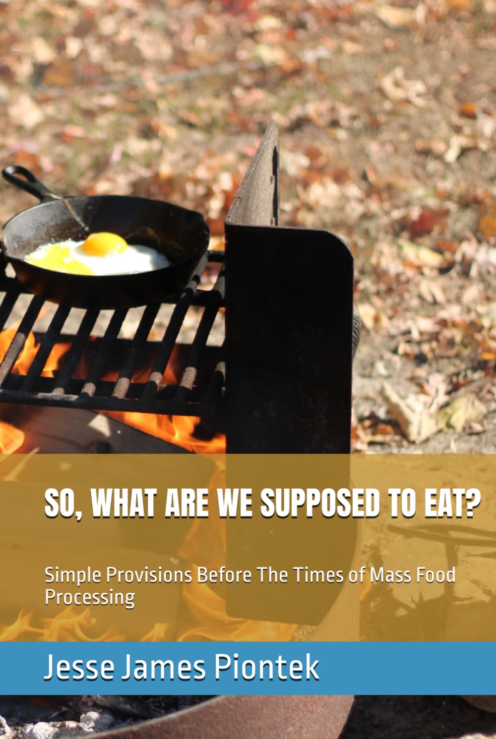 SO, WHAT ARE WE SUPPOSED TO EAT?: Simple Provisions Before The Times of Mass Food Processing