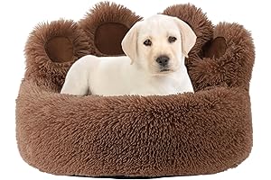 Pawsitively Cozy Dog Bed: Ultimate Comfort for Your Furry Friend