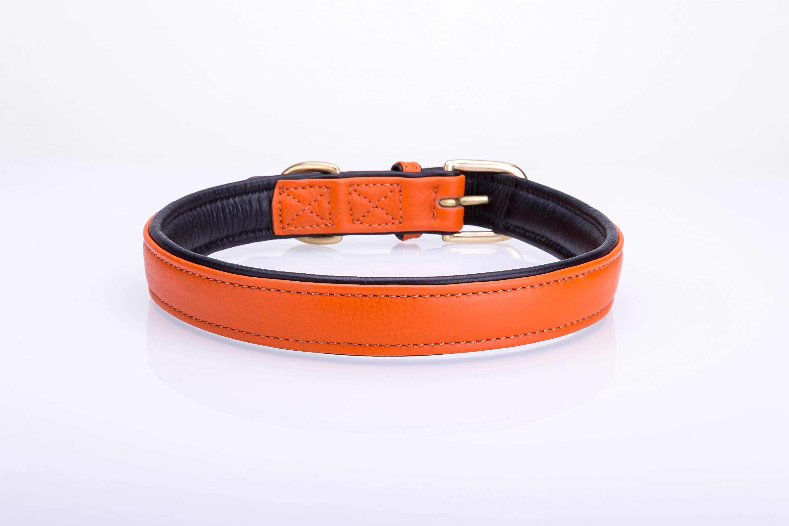 Collier pour chien en cuir souple rembourré orange plat réglable résistant