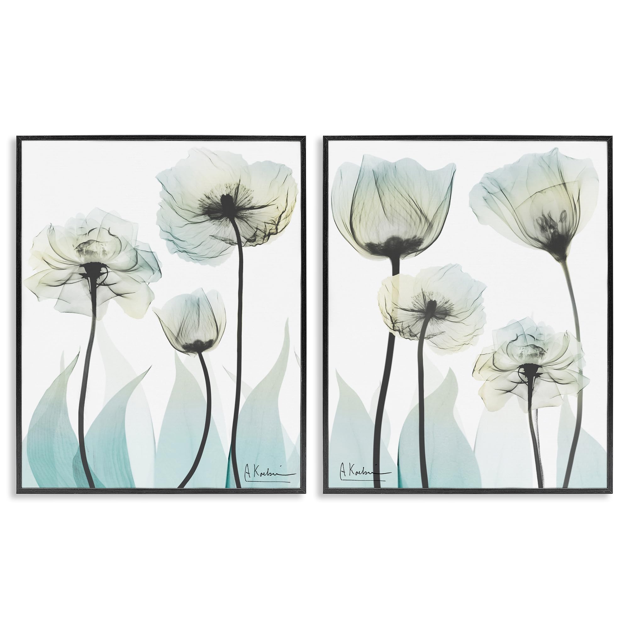 Stupell Industries 'Luxury Of Creation Flowers', 2pc Framed Giclee Art Set 2, Black, 16 x 20 Inches, Easy to Hang and Sturdy, Made in USA, by Albert Koetsier