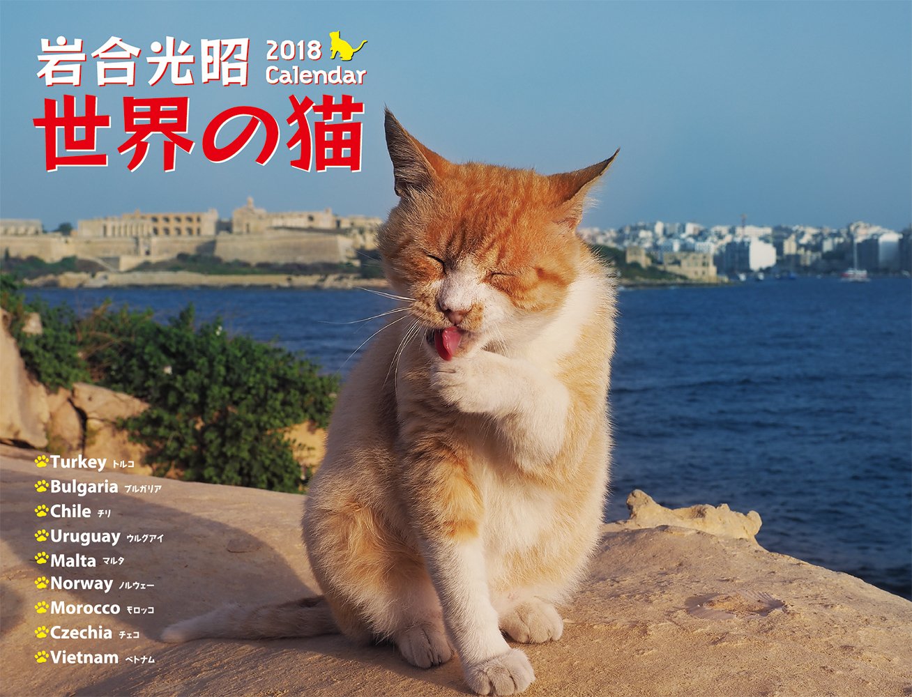 Amazon.co.jp: 2018 岩合光昭 世界の猫カレンダー(壁掛け) : 岩合 光昭