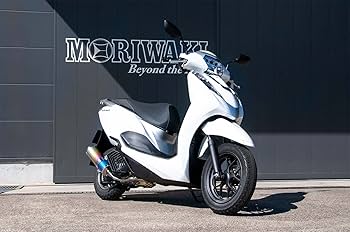 Amazon | モリワキ(MORIWAKI) フルエキゾーストマフラー ZERO ANO 22