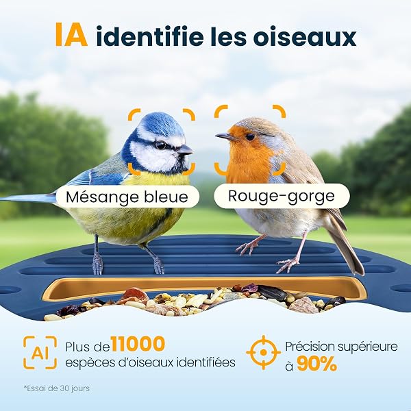 Mangeoire Oiseaux Camera, Camera UHD 2,5K, Solaire, Identification IA Sensible, Alertes instantanées, Enregistrement vidéo, étanche IP66 mangeoire Oiseaux, Bleue - 3