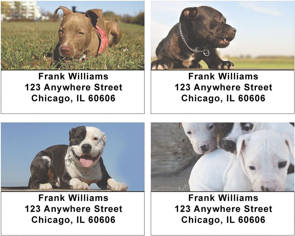 Pitbull Puppies Address Labels
