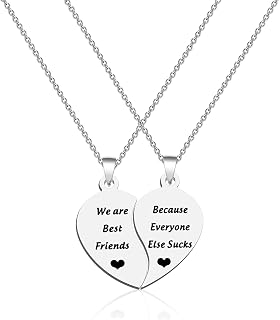 Friendship Necklace for 2-Split Valentine Heart Necklace We are Best Friends Because Everyone Else Sucks Gift for Best Friend
