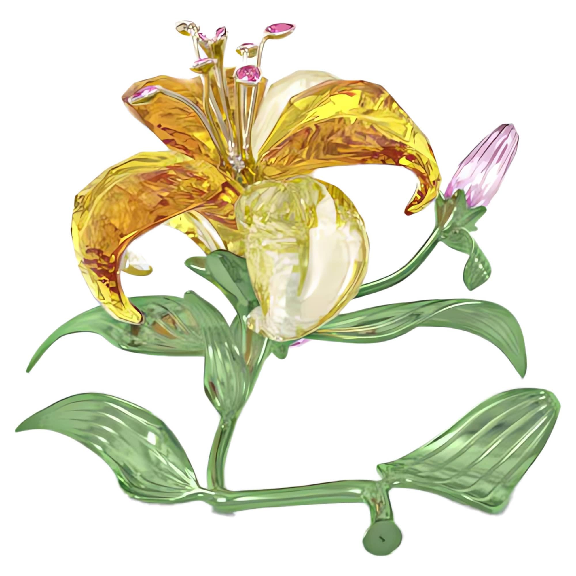 Amazon.com: Florere Lily Large : Home & Kitchen
