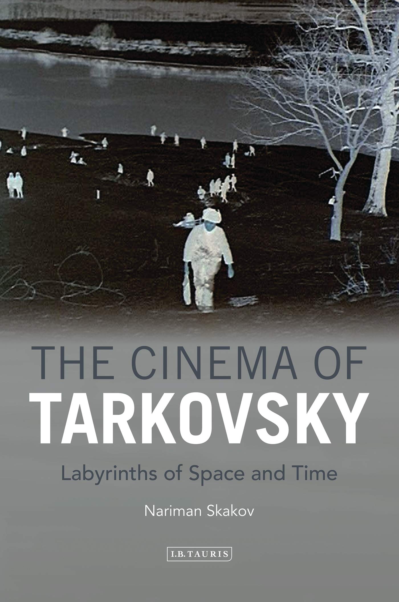 The Cinema of Tarkovsky: Labyrinths of Space and Time (KINO: The Russian Cinema Series) (KINO - The Russian and Soviet Cinema)