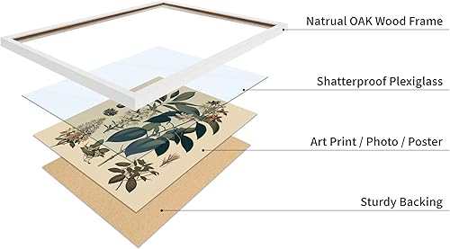 Miniatura 93 de Poster Master Póster vintage de orquídea, estampado de flores retro, arte de pared de plantas exóticas, arte botánico, regalo para hombres y