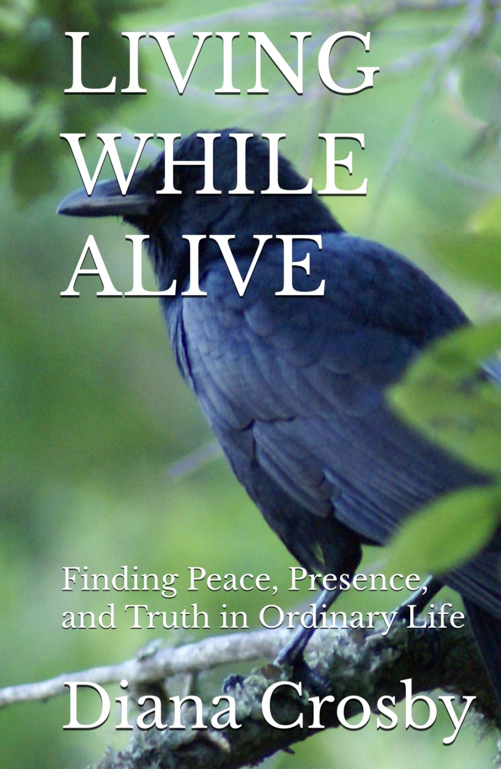 LIVING WHILE ALIVE: Finding Peace, Presence, and Truth in Ordinary Life