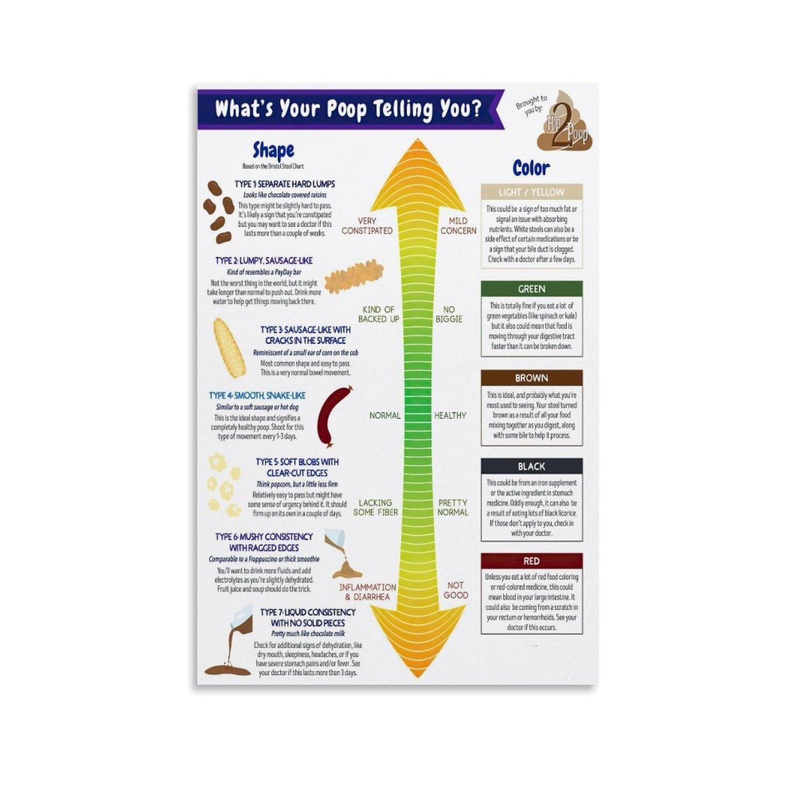 RNUMLIGH Bristol Stool Scale Educational Poster - Gastrointestinal Health Assessment Chart, Digestive System Reference for Clinic or Study(Unframed,12x18inch(30x45cm))