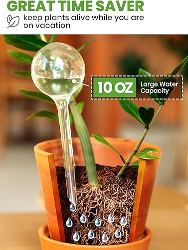 Miniatura 3 de 8 globos de riego de plantas grandes de plástico XL  Juego automático de agua para plantas incluye accesorios de plantas para macetas de interior y