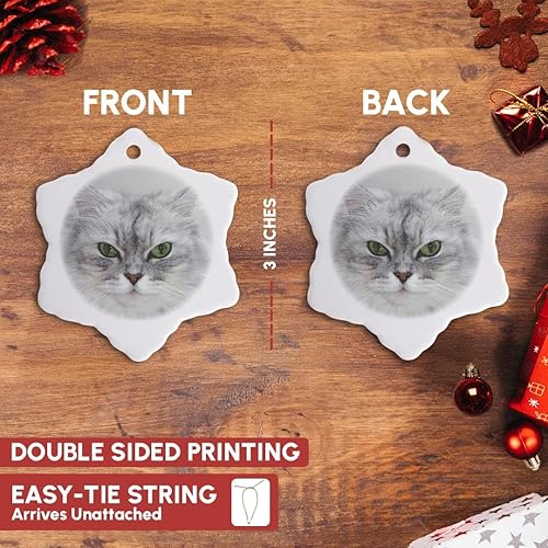 Miniatura 3 de 3dRose Carsten Reisinger Photography - Gato persa plateado sombreado relajante - Adornos (orn-154985-1)