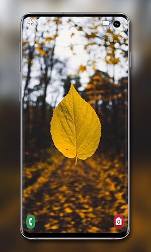 Yellow Wallpaper - Cute Backgrounds for Phone