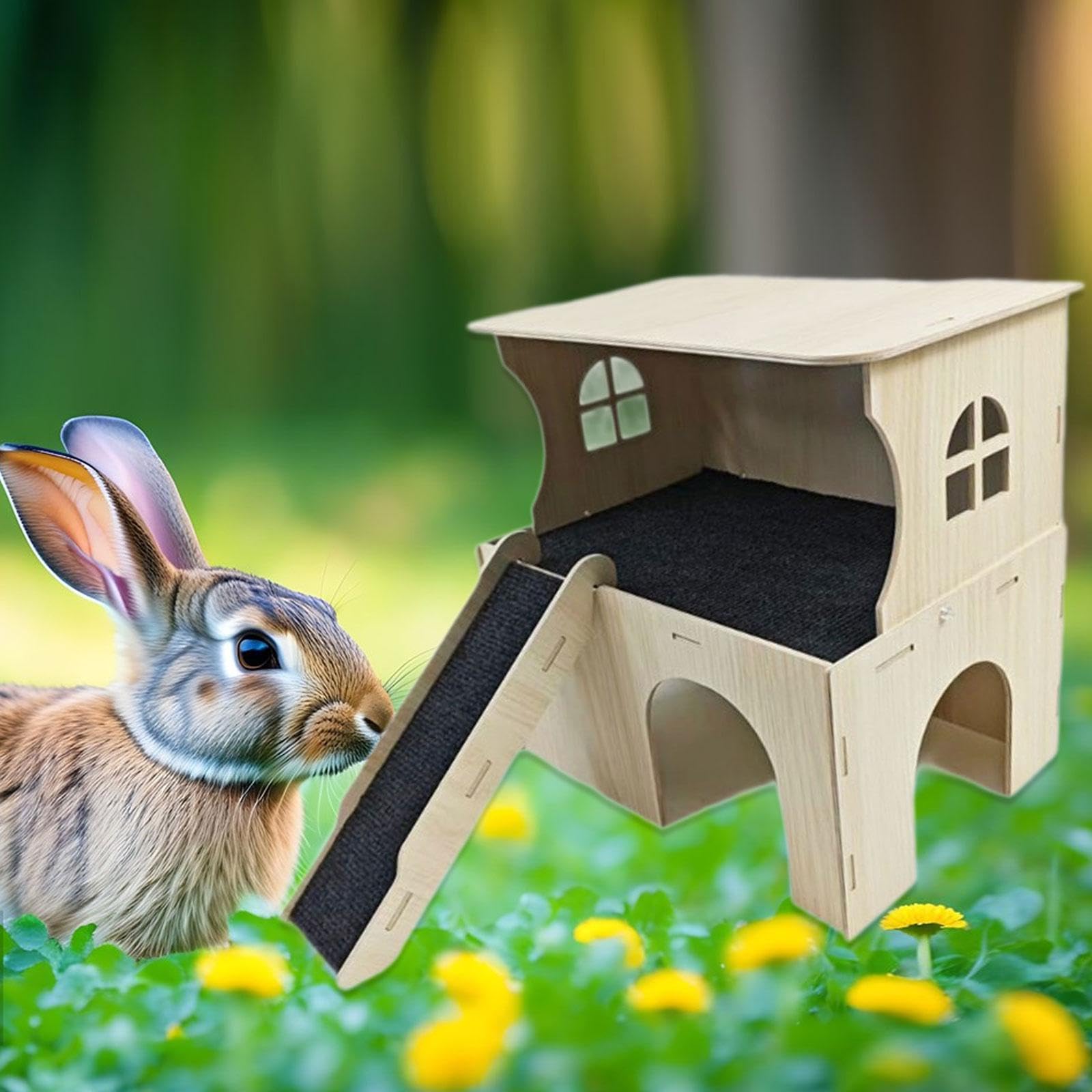 Maison pour Hamsters avec Escalier, Niche, Litière, Habitat pour Lapins, Souris et Hamsters
