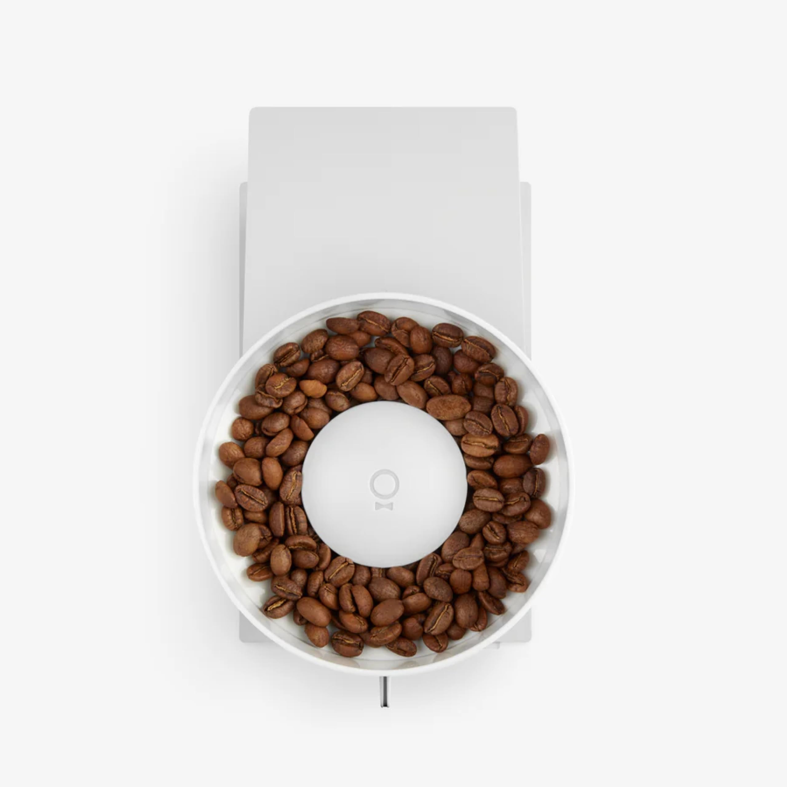 Macinacaffè a macine coniche Fellow Opus - elettrico multiuso - Macinacaffè per espresso con 41 impostazioni per preparazione Espress, Drip, French Press e Cold Brew - Bianco opaco