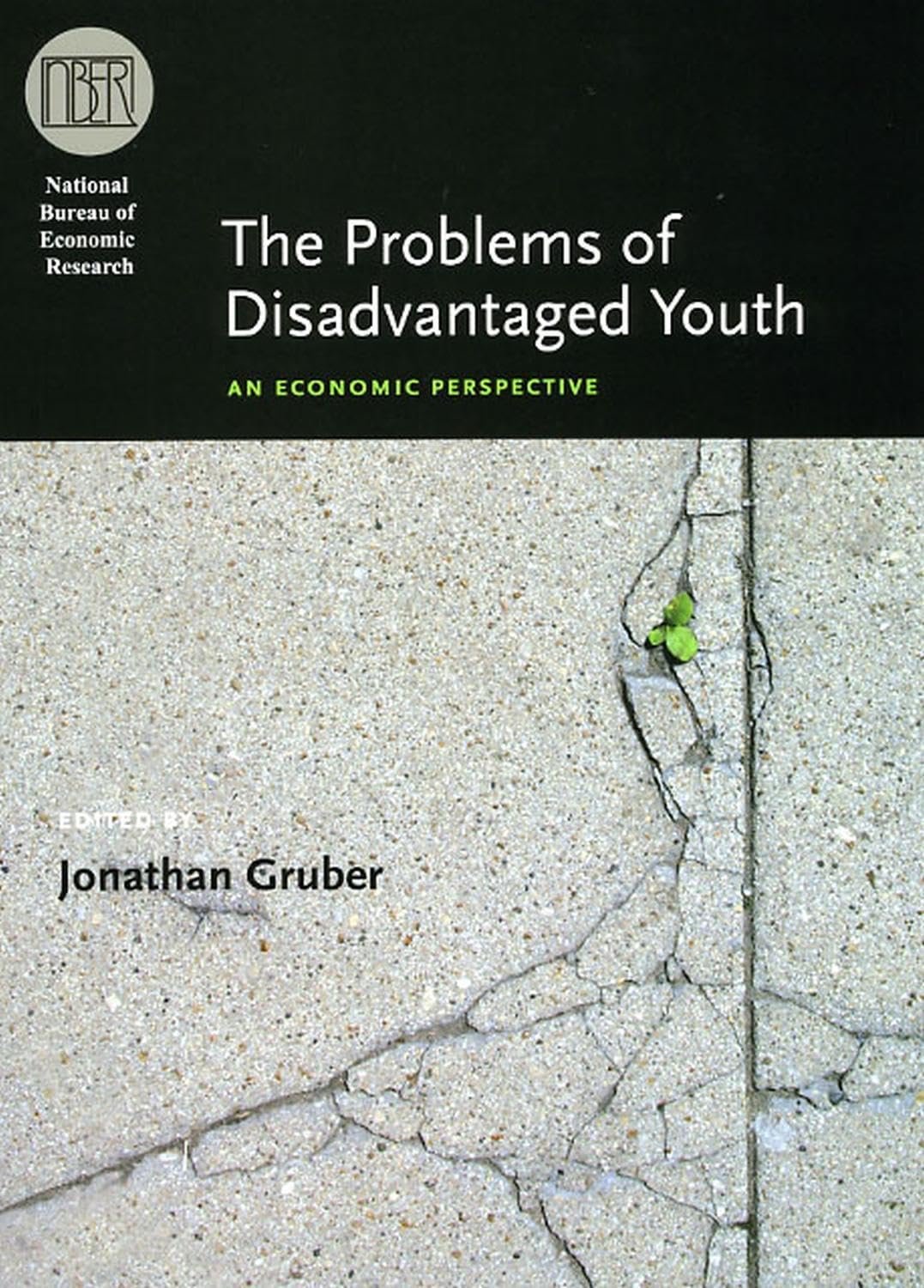 The Problems of Disadvantaged Youth: An Economic Perspective (National Bureau of Economic Research Conference Report)