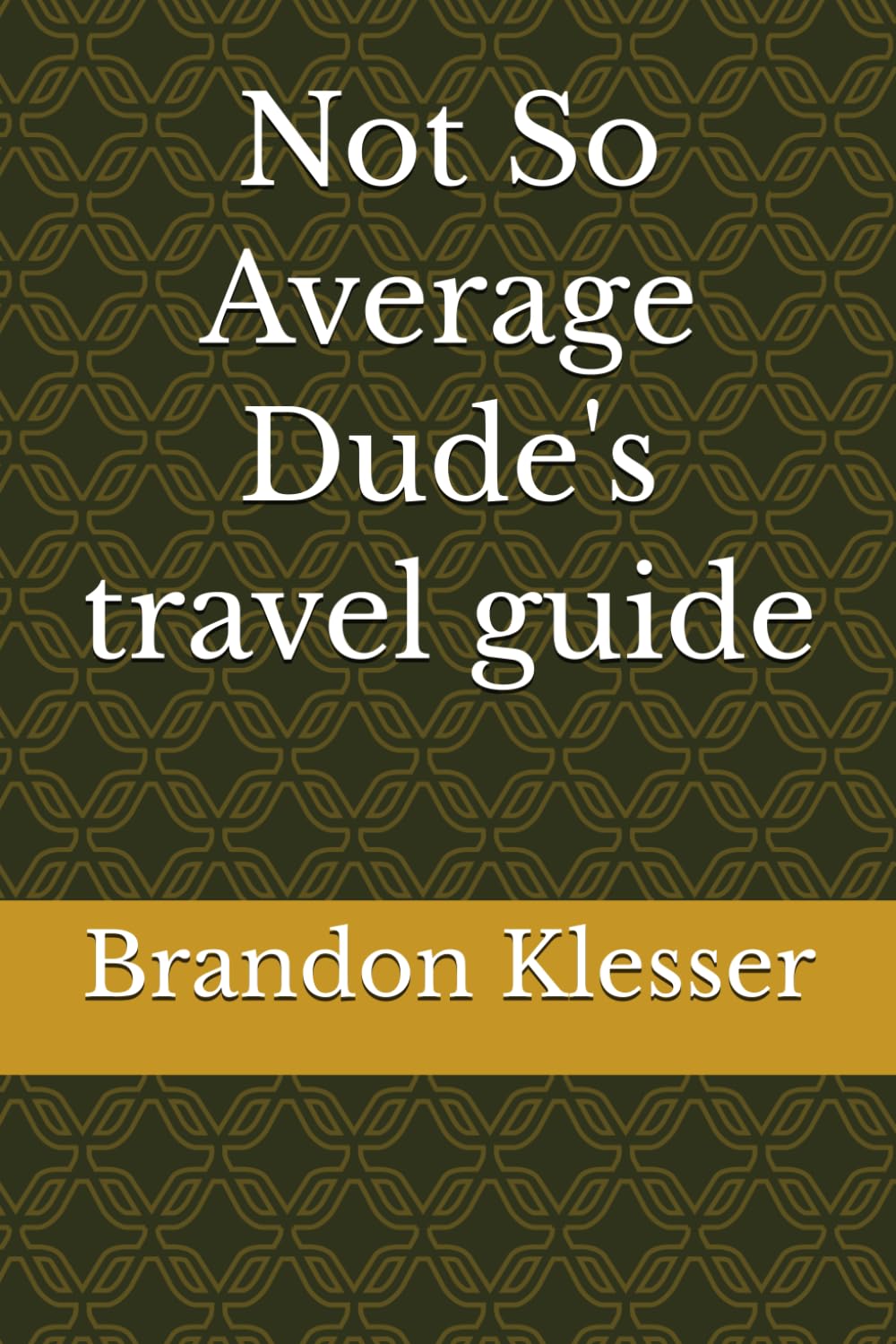 Not So Average Dude's travel guide (A (Not So ) Series)