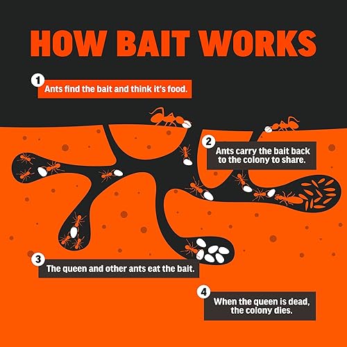 Miniatura 10 de Amdro - Gránulos cebo para hormigas rojas